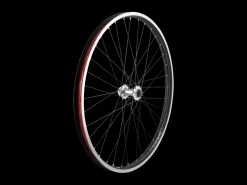 Trek Bikes Electra 2021 Townie Go! 5i 26" Wheels