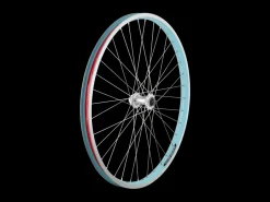 Trek Bikes Electra 2021 Townie Go! 5i 26" Wheels