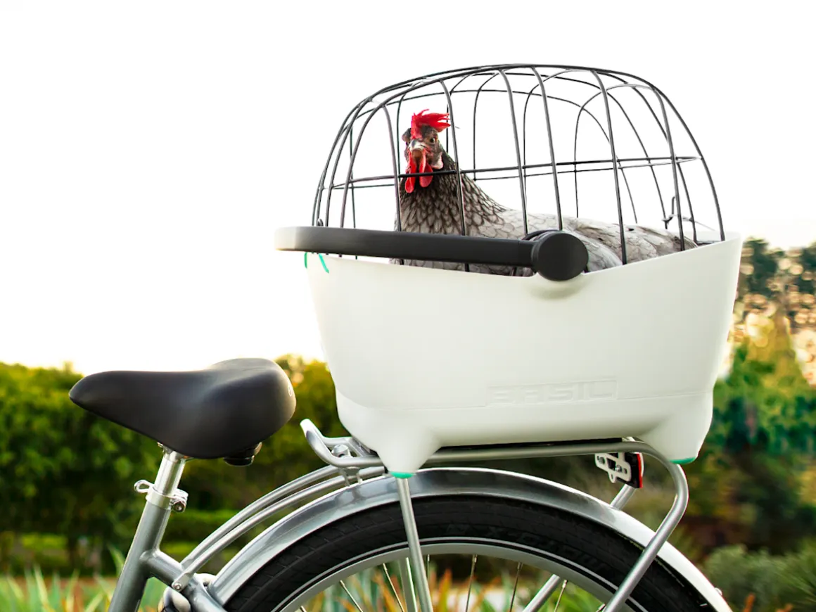 Trek Bikes Electra Basil Pet Carrier