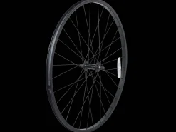 Trek Bikes Electra Loft 1 700C Wheel