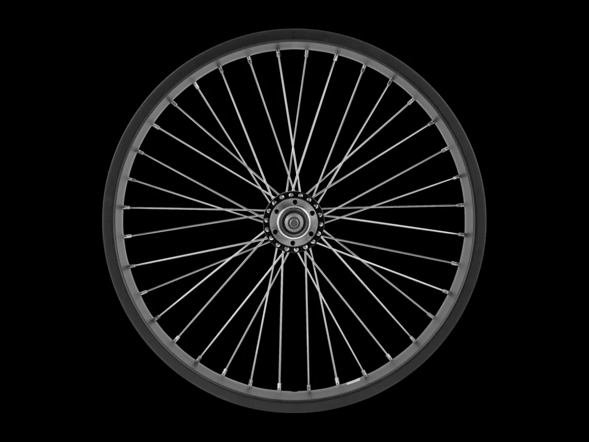 Trek Bikes Electra Ponto Go! 20" Wheel