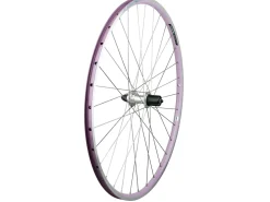 Trek Bikes Electra Townie Commute 8D Wheel