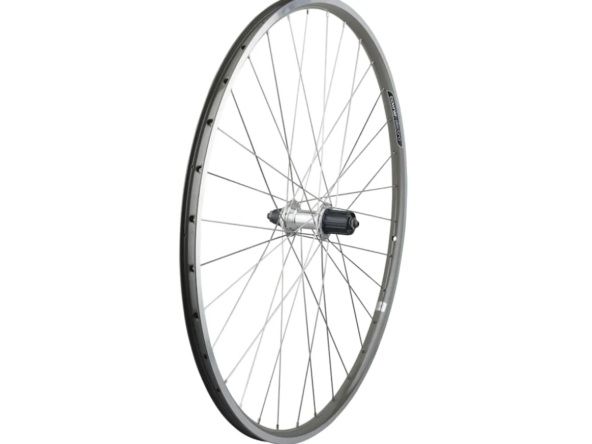 Trek Bikes Electra Townie Commute 8D Wheel