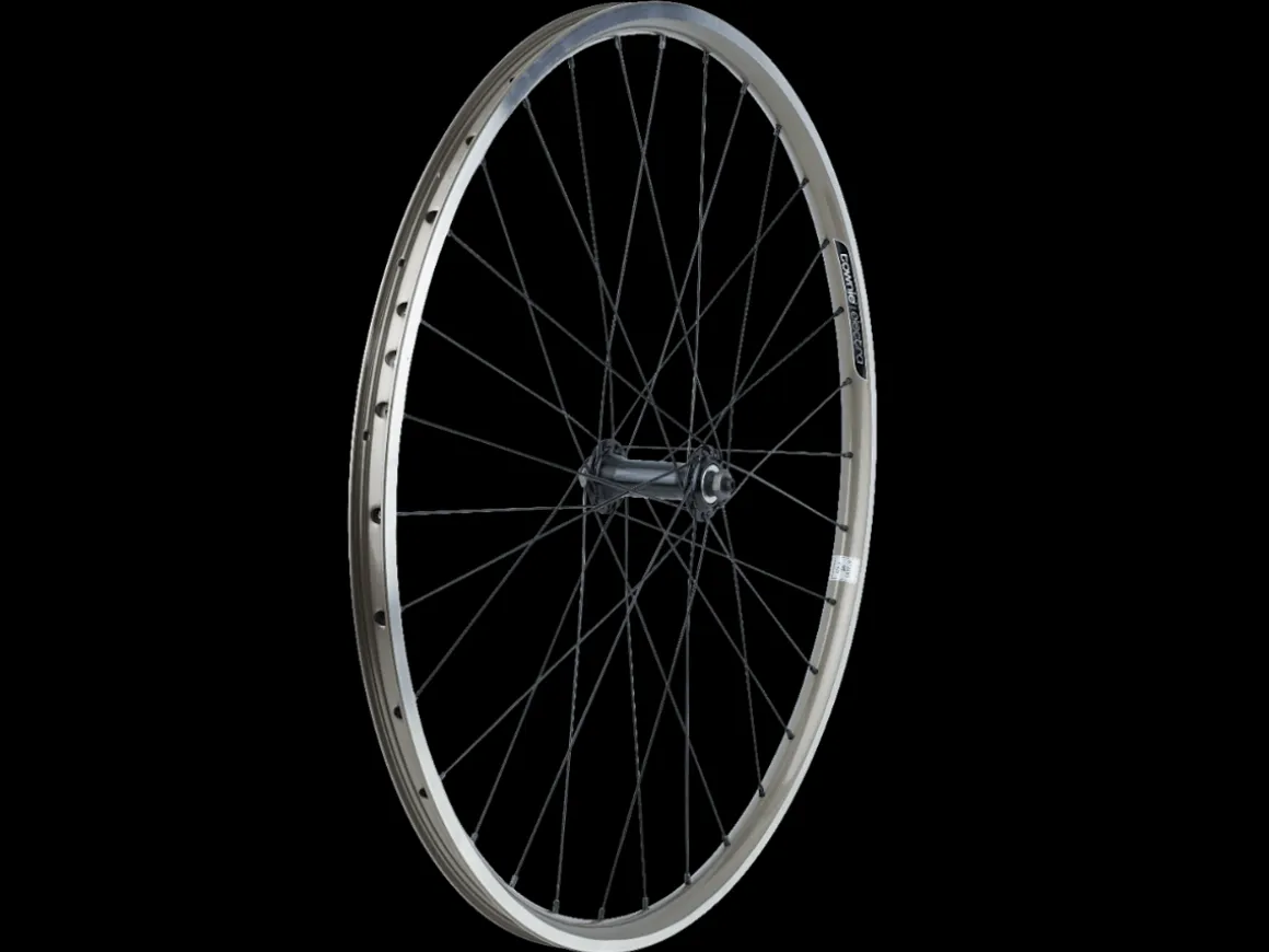 Trek Bikes Electra Townie 21D 26" Wheel
