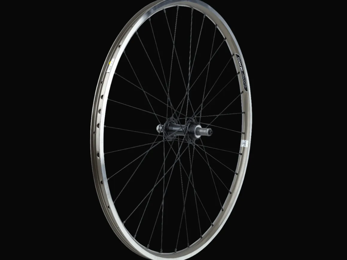 Trek Bikes Electra Townie 21D 26" Wheel