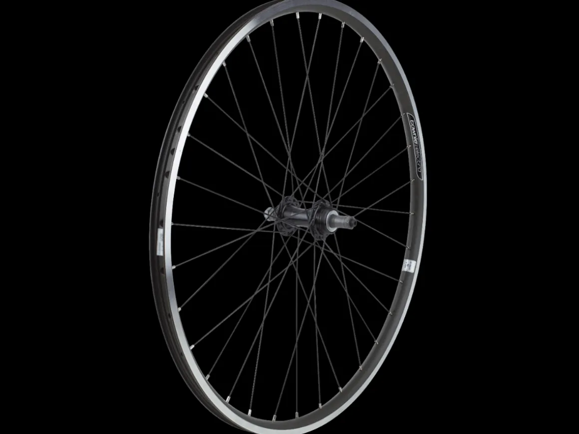 Trek Bikes Electra Townie 7D 26" Wheel
