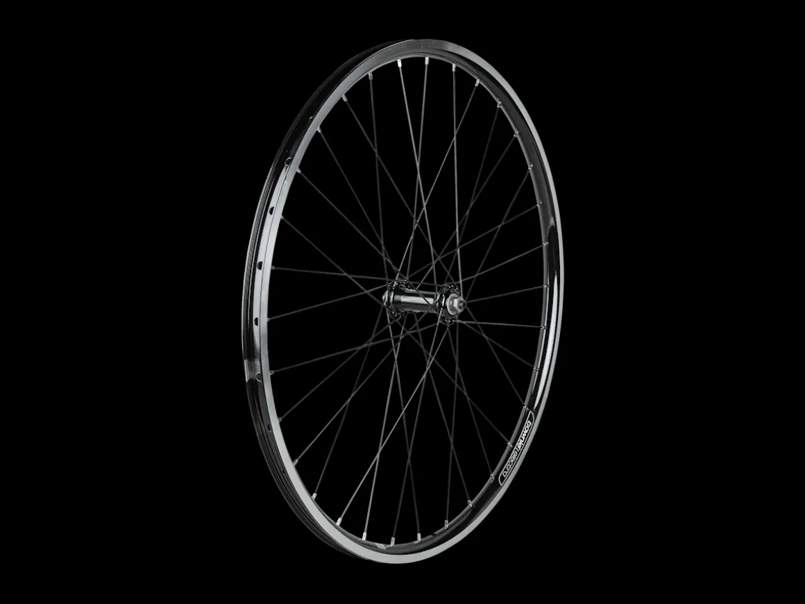 Trek Bikes Electra Townie 7D 26" Wheel