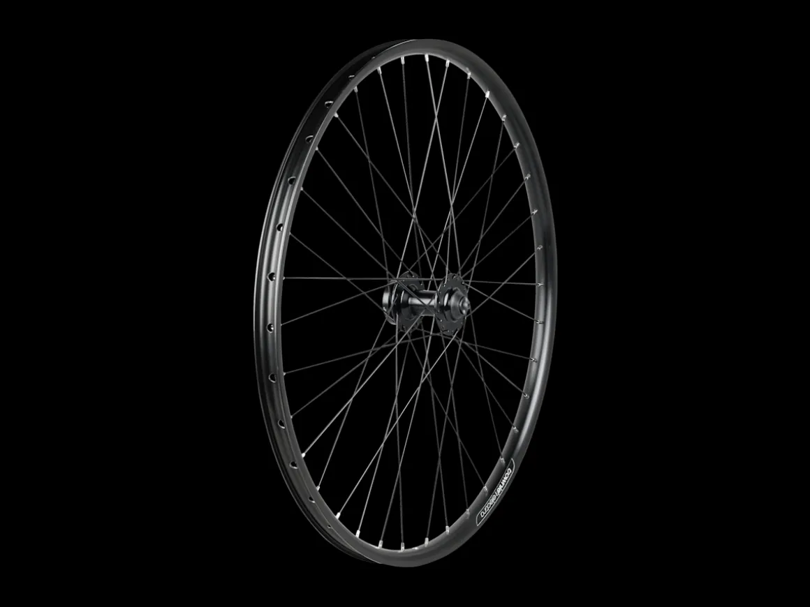 Trek Bikes Electra Townie Go! 7D 26" Wheel