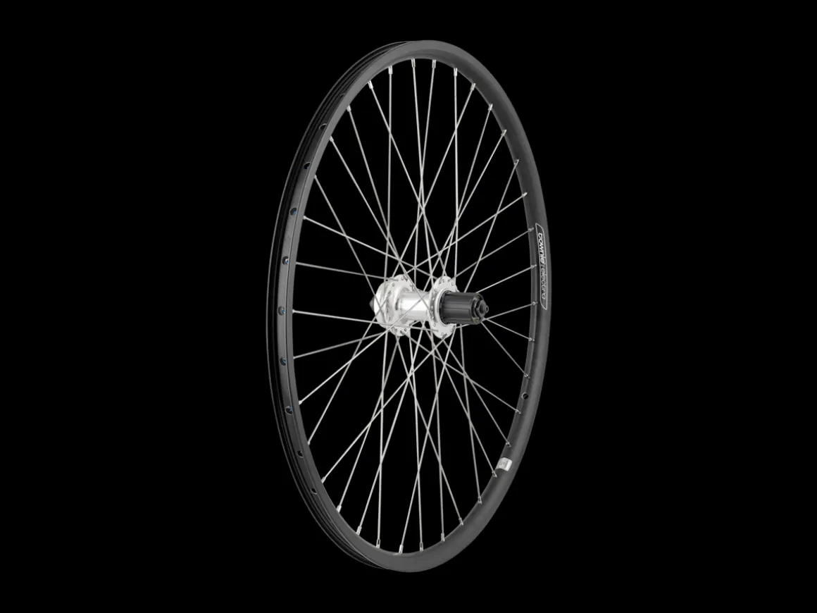Trek Bikes Electra Townie Go! 8D 26'"' Wheel