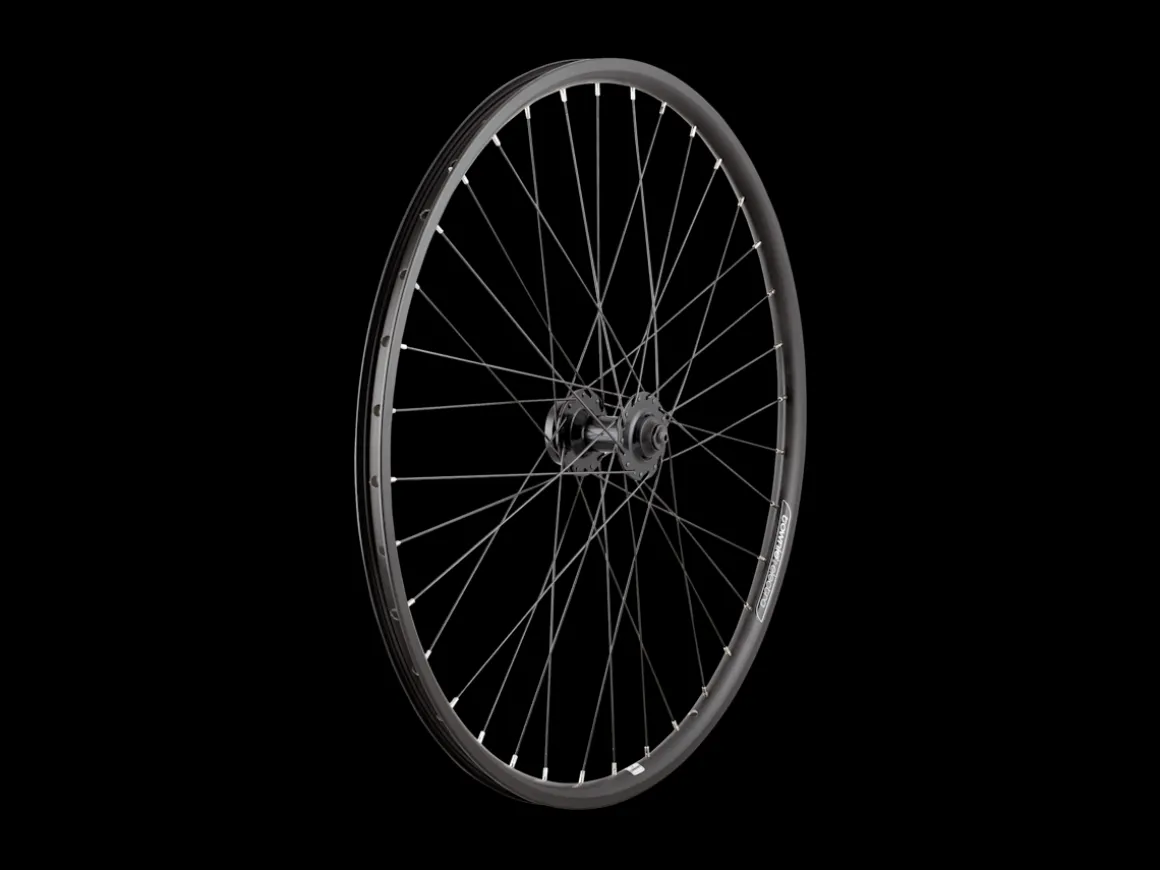 Trek Bikes Electra Townie Go! 8D 26'"' Wheel