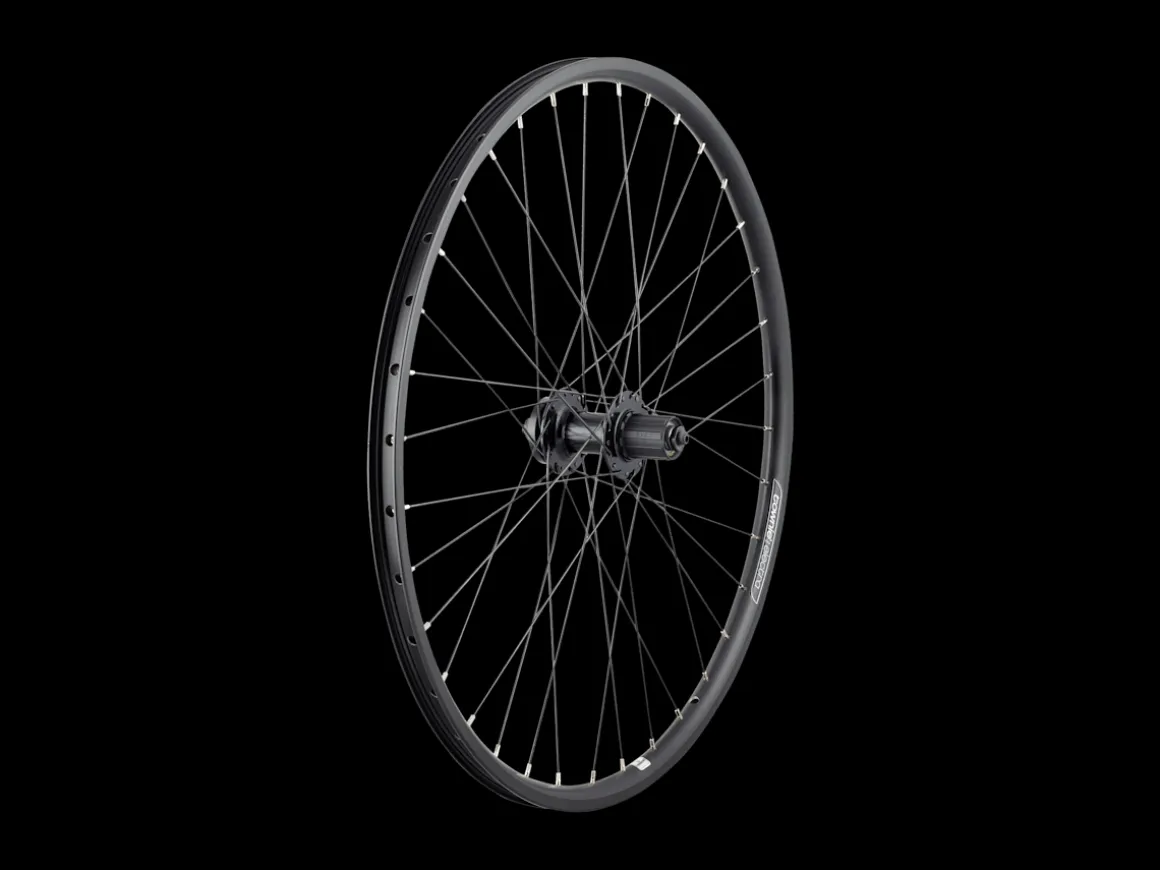 Trek Bikes Electra Townie Go! 8D 26'"' Wheel