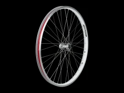 Trek Bikes Electra Townie Go! 8i Centerlock Disc 26" Wheel