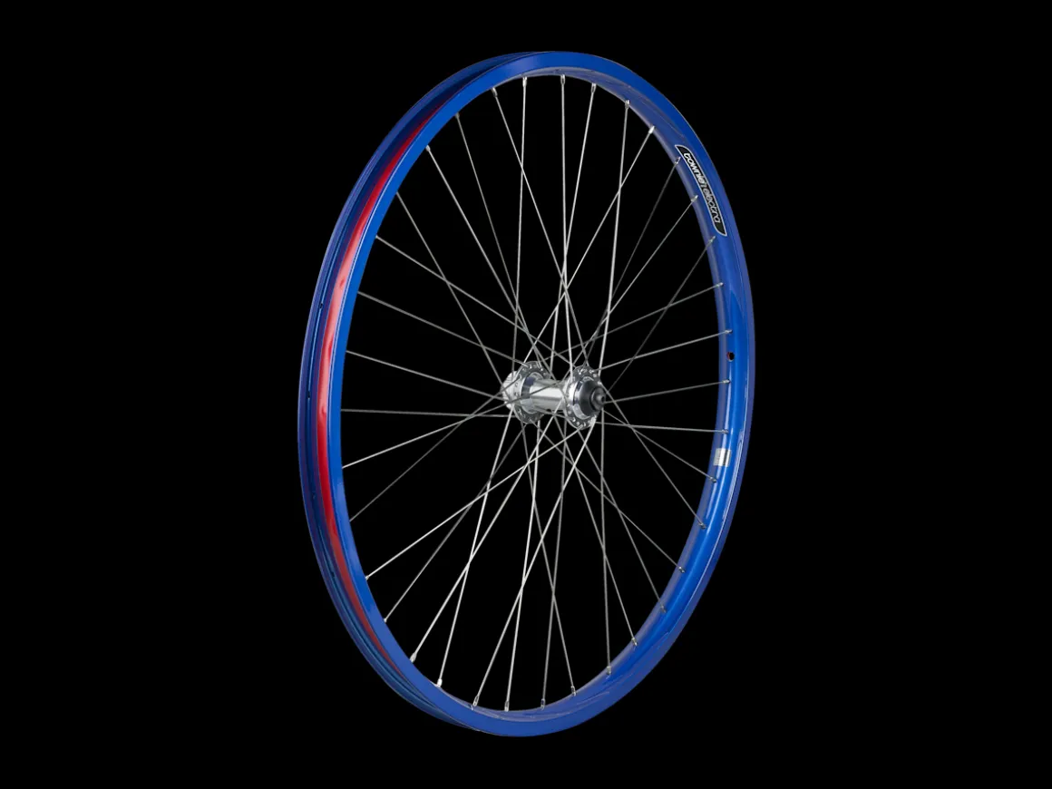 Trek Bikes Electra Townie Go! 8i Centerlock Disc 26" Wheel