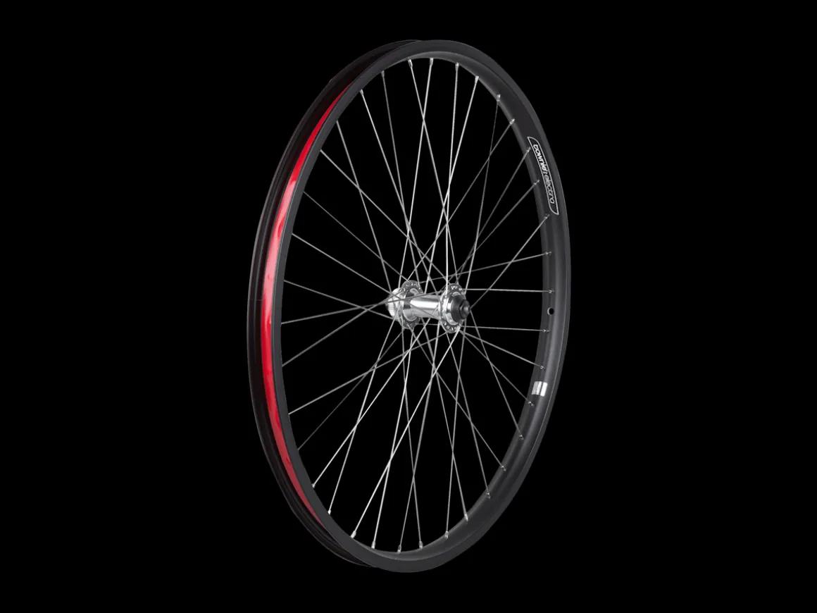 Trek Bikes Electra Townie Go! 8i Centerlock Disc 26" Wheel