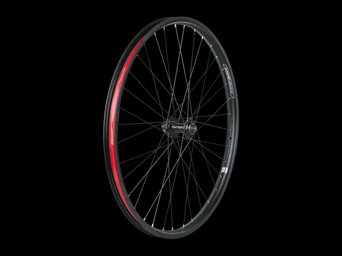 Trek Bikes Electra Townie Go! 8i Centerlock Disc 26" Wheel
