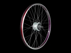 Trek Bikes Electra Townie Go! 8i Centerlock Disc 26" Wheel