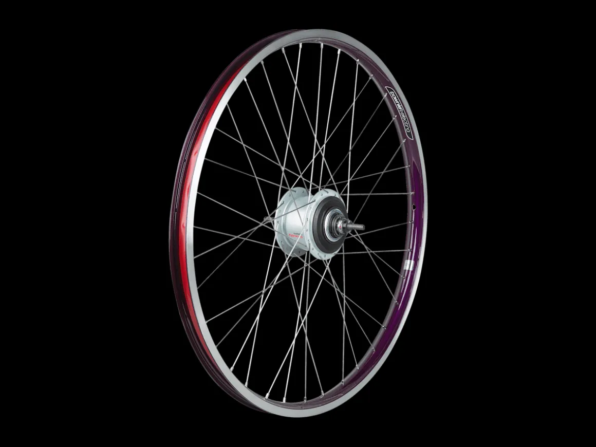 Trek Bikes Electra Townie Go! 8i Centerlock Disc 26" Wheel
