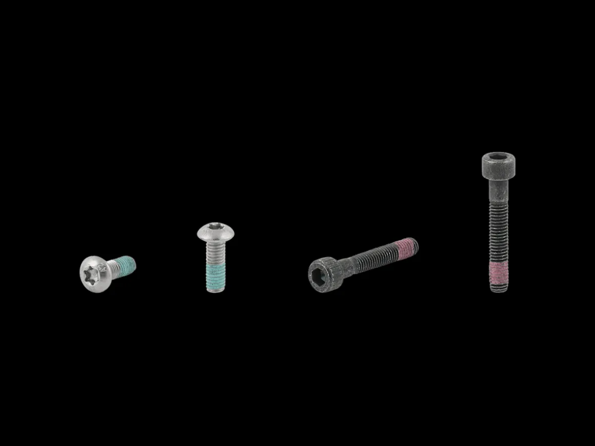 Trek Bikes Electra Townie Go! 5i Rack Bolt Set