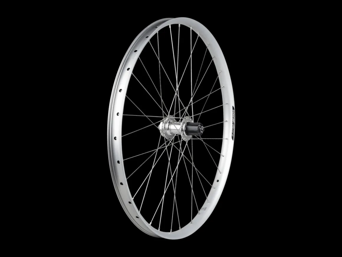 Trek Bikes Electra Townie Path 6-Bolt Disc 27.5" Wheel