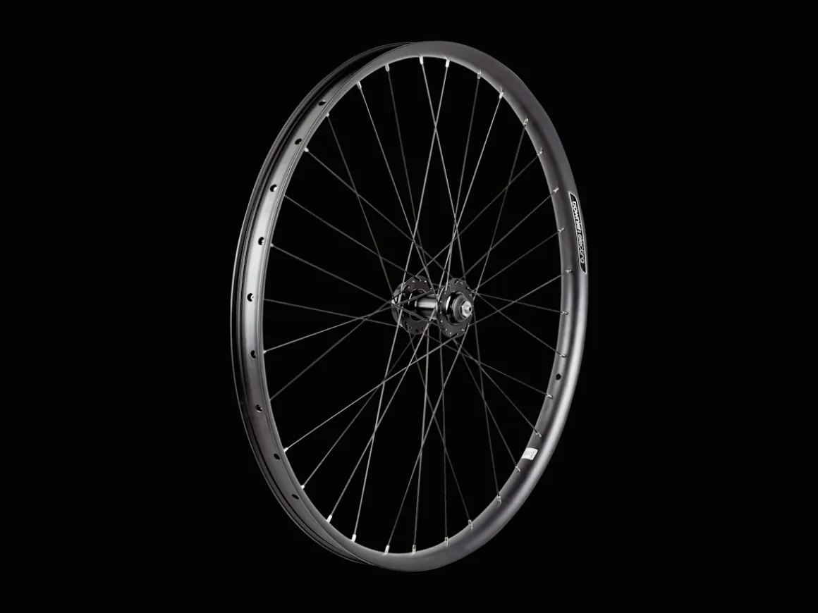 Trek Bikes Electra Townie Path 6-Bolt Disc 27.5" Wheel