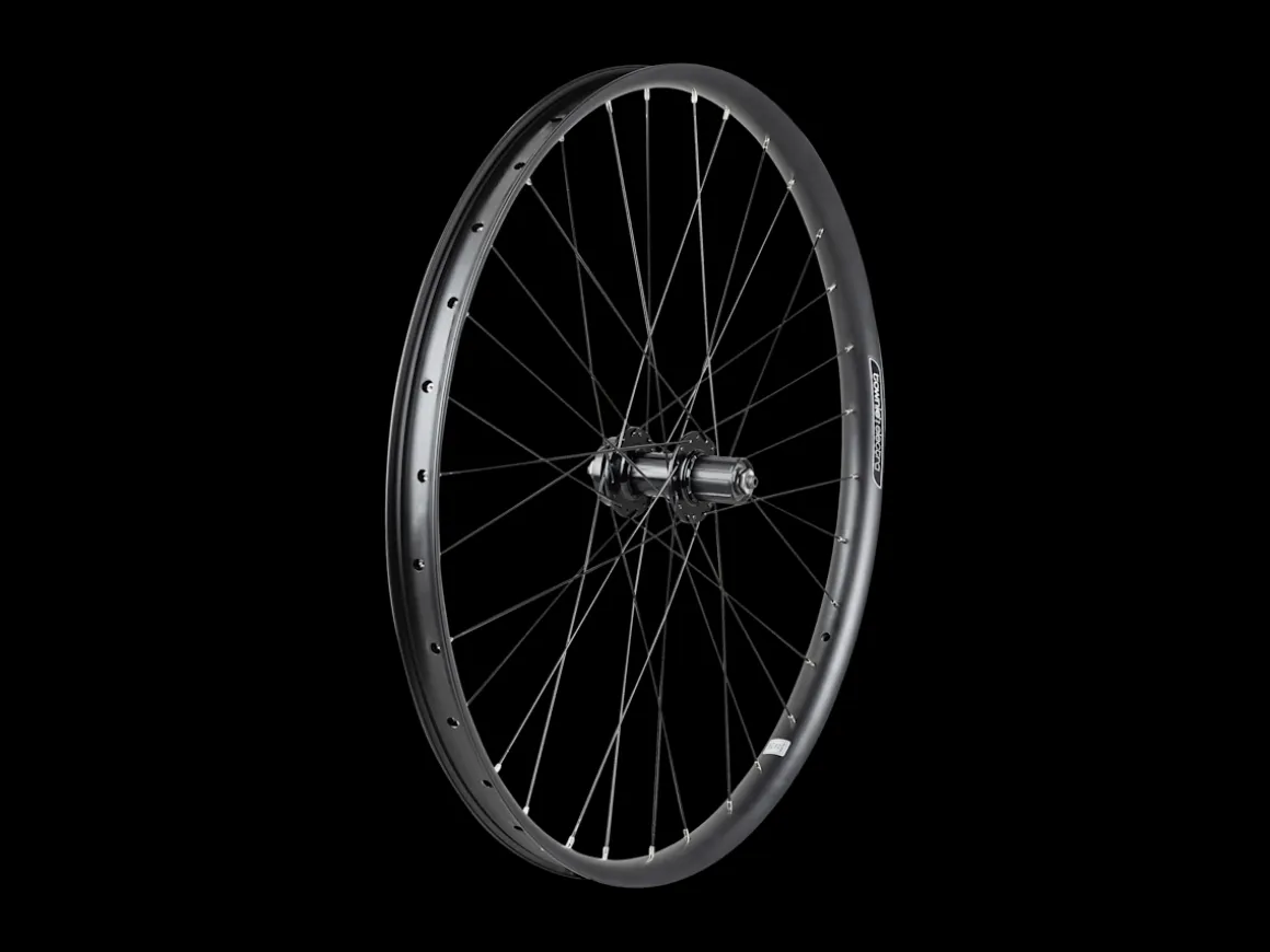 Trek Bikes Electra Townie Path 6-Bolt Disc 27.5" Wheel