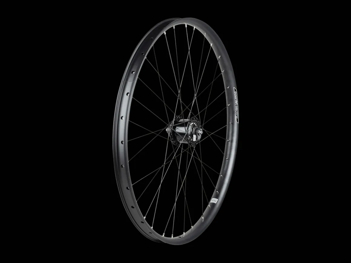 Trek Bikes Electra Townie Path EQ 6-Bolt Disc 27.5" Wheels