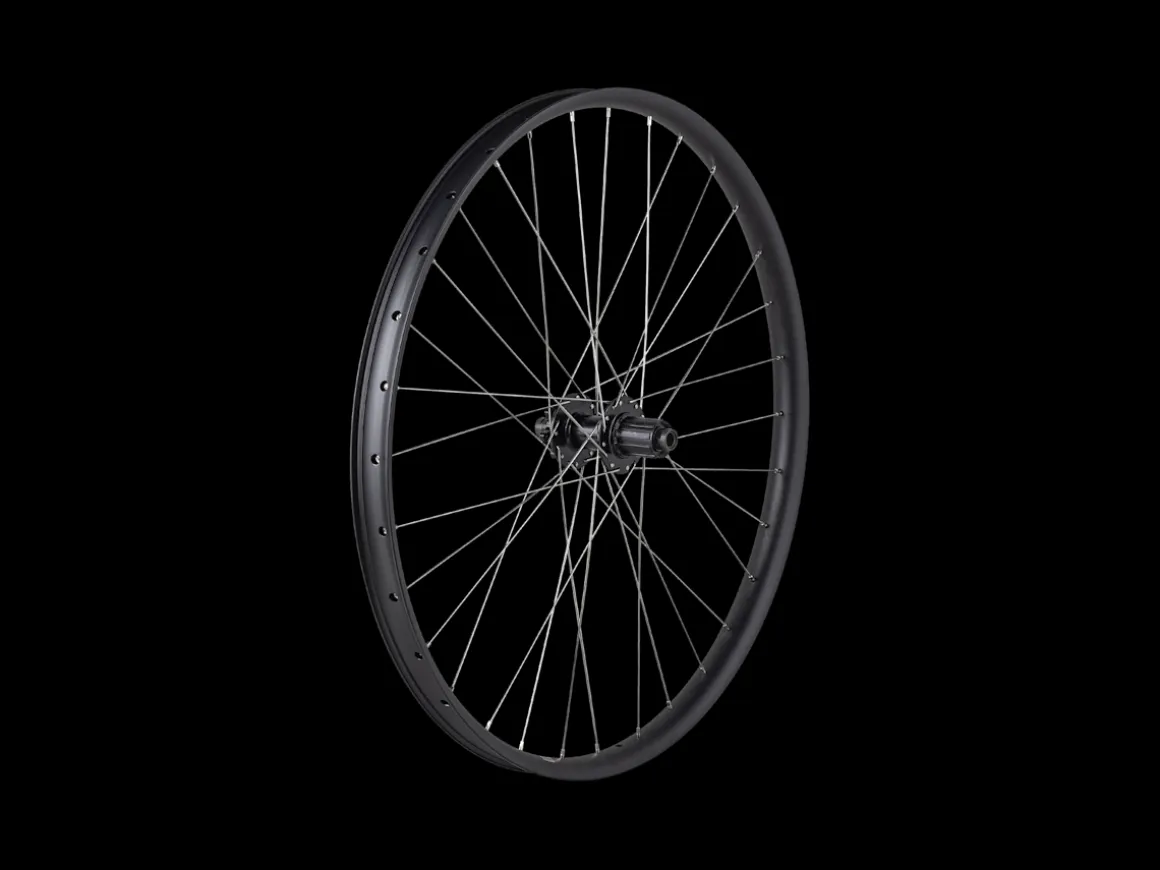 Trek Bikes Electra Vale Go! EQ Wheel