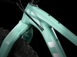 Trek Bikes Farley 5