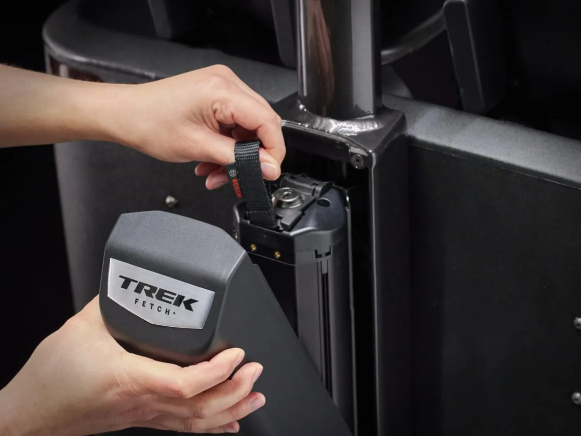 Trek Bikes Fetch+ 4