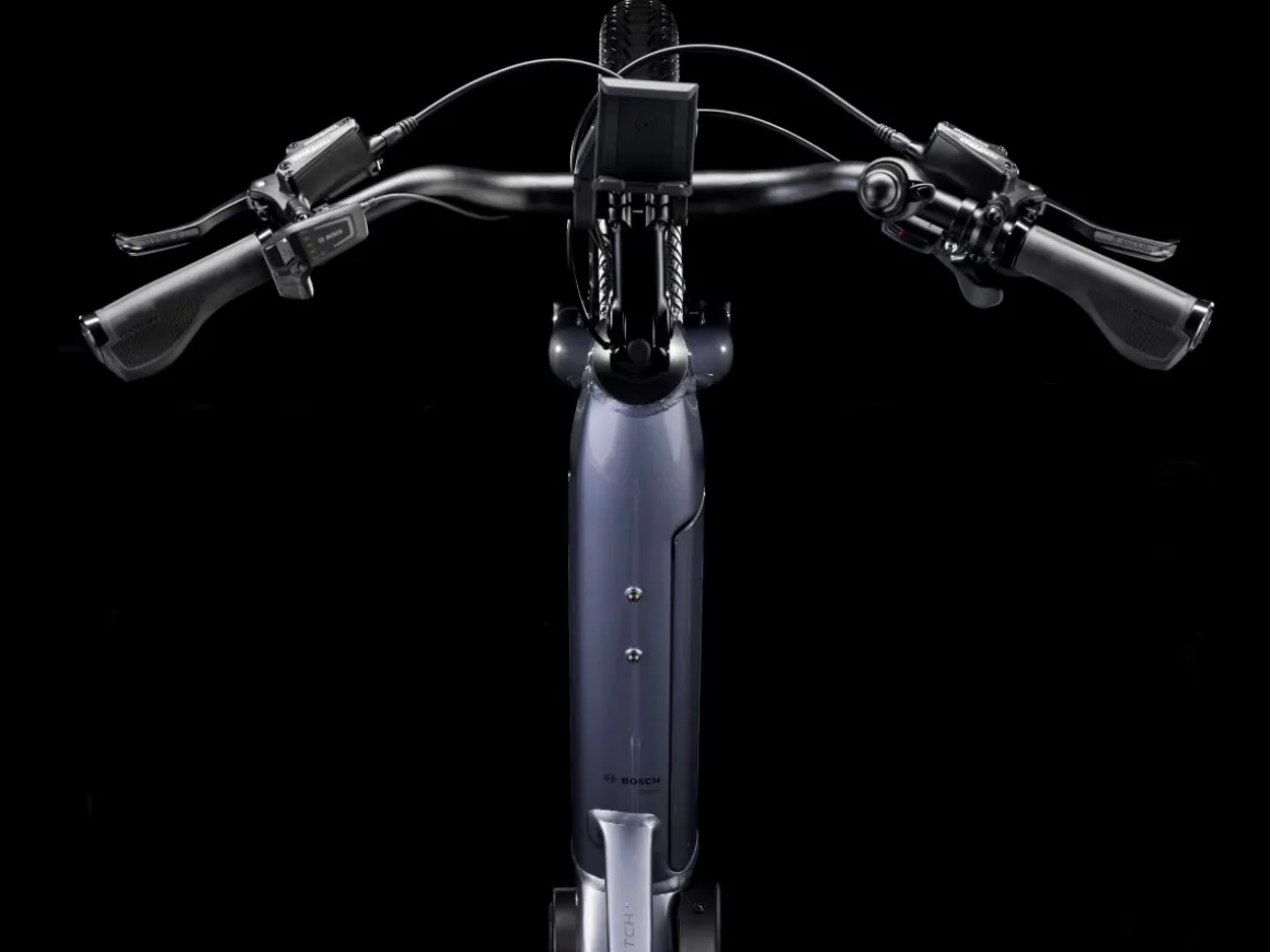 Trek Bikes Fetch+ 2