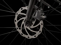 Trek Bikes FX+ 2 Stagger