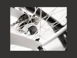Trek Bikes Garmin Speed Sensor 2