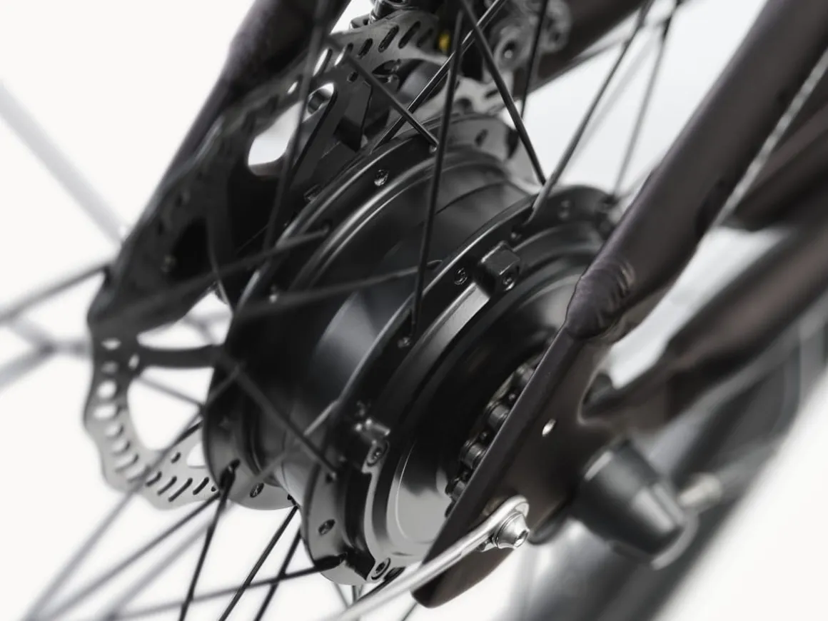 Trek Bikes Kakau Cruiser Go!