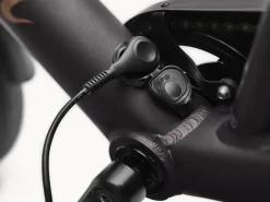 Trek Bikes Kakau Cruiser Go!
