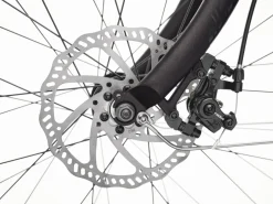 Trek Bikes Kakau Cruiser Go!