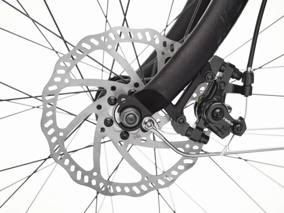 Trek Bikes Kakau Cruiser Go!
