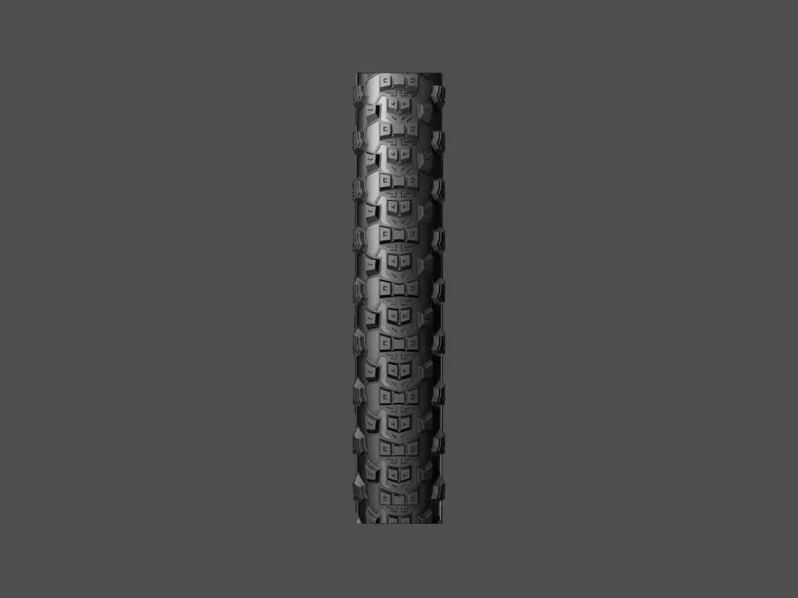 Trek Bikes Pirelli Scorpion Enduro R MTB Tire