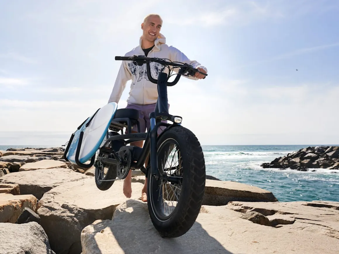 Trek Bikes Ponto Go!