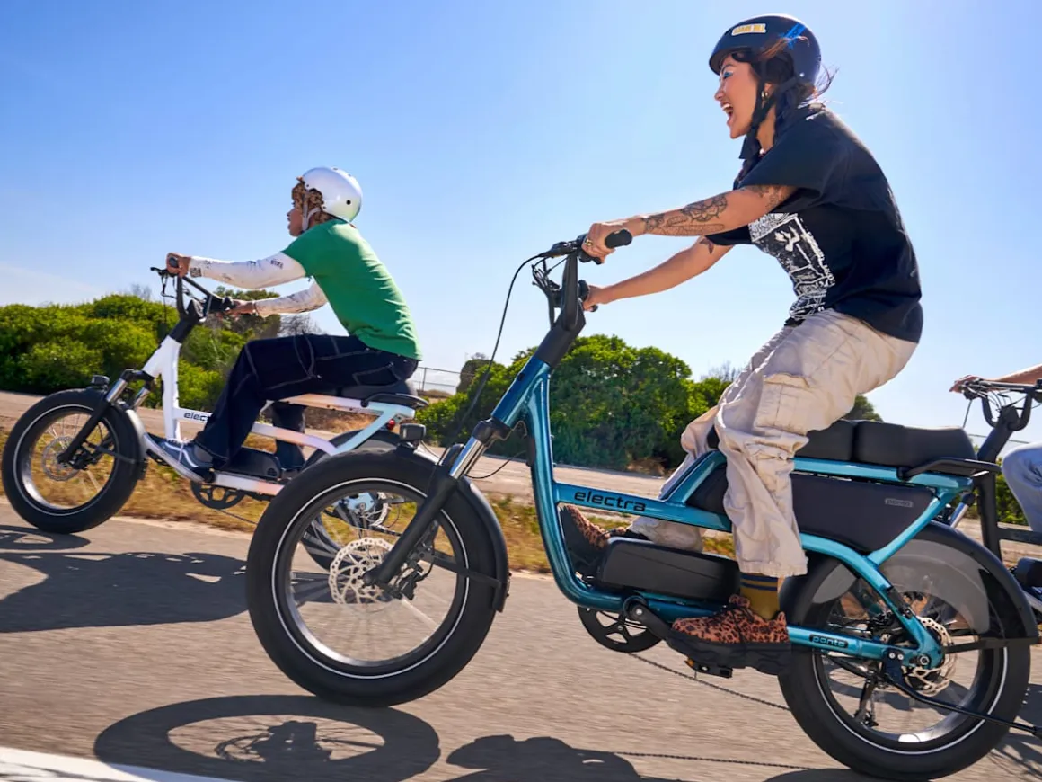 Trek Bikes Ponto Go!