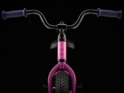 Kids Trek Bikes Precaliber 12