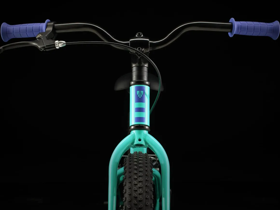 Kids Trek Bikes Precaliber 20