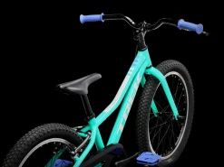Kids Trek Bikes Precaliber 20
