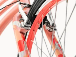 Kids Trek Bikes Sprocket 1 20"