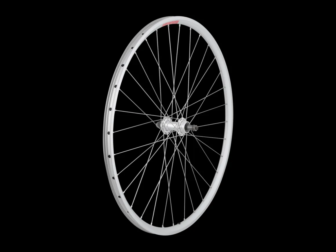 Trek Bikes Sta-Tru 700c Tubeless Ready Alloy QR Wheel - DT Swiss Spokes