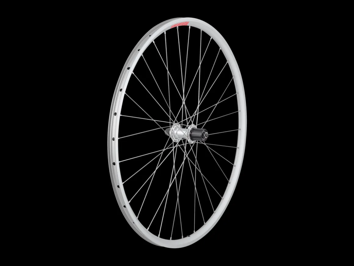 Trek Bikes Sta-Tru 700c Tubeless Ready Alloy QR Wheel - DT Swiss Spokes