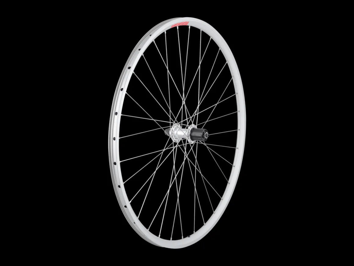 Trek Bikes Sta-Tru 700c Tubeless Ready Alloy QR Wheel - DT Swiss Spokes