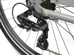 Trek Bikes Townie 7D EQ Step-Over