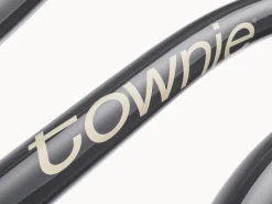 Trek Bikes Townie 7D EQ Step-Thru