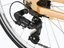 Trek Bikes Townie 7D EQ Step-Thru