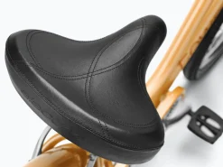Trek Bikes Townie 7D EQ Step-Thru